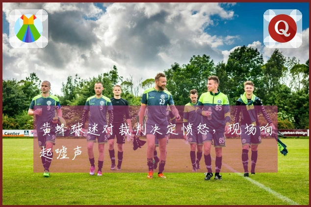 黄蜂球迷对裁判决定愤怒，现场响起嘘声