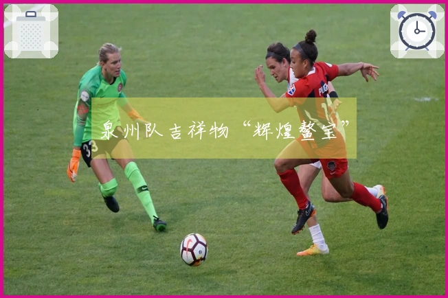 泉州队吉祥物“辉煌鳌宝”