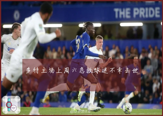 多特主场上周六急救球迷不幸去世