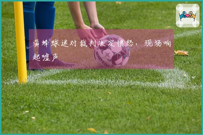 黄蜂球迷对裁判决定愤怒，现场响起嘘声