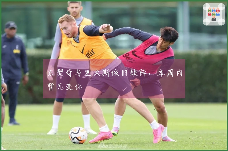 东契奇与里夫斯依旧缺阵，本周内暂无变化